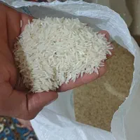 برنج فجرسوزنی خوش پخت خوش طعم