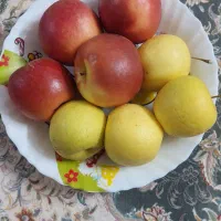 سیب لبنانی و شمرونی