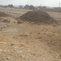 کود گاوی و گوسفندی
