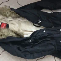 پالتو و کاپشن|لباس|اراک, |دیوار