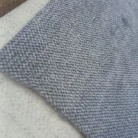 موکت طوسی 3 روز استفاده شده|موکت|قدس, شهر‌قدس|دیوار