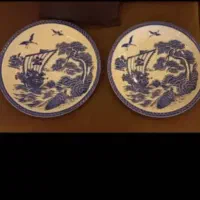 یک جفت دیس بزرگ زیبا