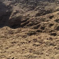 کود حیوانی|خدمات باغبانی و درختکاری|اصفهان, سرشبادران|دیوار