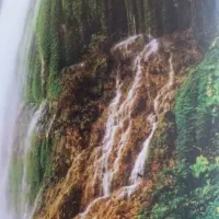 فروش باغ در دشت بالا تیران