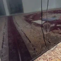تلویزیون شکسته ۴۳