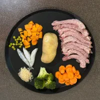 غذای تازه خانگی و فریزری گربه