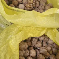 توجه گردوی امسال به شرط خوشمزگی بدون شیمیایی|خوردنی و آشامیدنی|میاندوآب, |دیوار