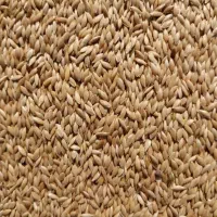 ارزن ریزه و کتان