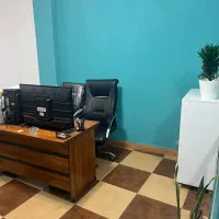 منشی خانم  و کارگر ساده