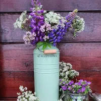 به یک وانت بار ک از کرمان به طرف بم میاد