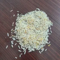 برنج پاکستانی دانه بلند ۱۱۲۲