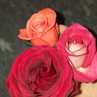 دستبند طلا