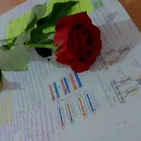 مشاوره تحصیلی ویژه دانش‌آموزان رشته تجربی