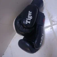 وزنه بدن سازی و دمبل دستکش بوکس|تجهیزات ورزشی|تهران, شهرک آسمان|دیوار