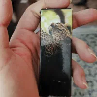 چاقو آمریکایی|کلکسیون و سرگرمی|ایذه, |دیوار