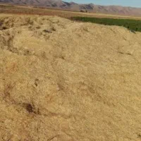 ۲ تن کاه جو سر زمین فروشی در عمارت