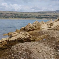 راهنمایی کنید لطفا