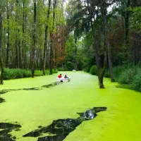 تور شمال ماسال گیلانگردی 26به 28 اذر ماه|تور و چارتر|تهران, عباسآباد|دیوار