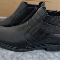 کفش|کیف، کفش، کمربند|قم, بنیاد|دیوار