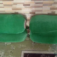 چهار بلشت زیر دستی با پر هست