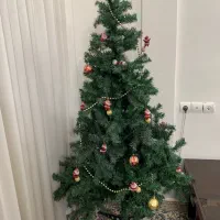 درخت کاج کریسمس نو خارجی