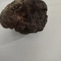 شهاب سنگ|جواهرات|زیباشهر, |دیوار