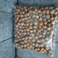 فندق شمال امساله