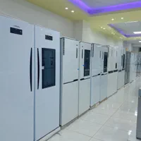 یخچال دوقلو سیلور با موتور (LG) تضمینی با گارانتی