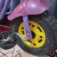 سه چرخه|دوچرخه، اسکیت، اسکوتر|گنبد کاووس, |دیوار