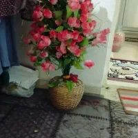 گل مصنوعی|گل مصنوعی|شیراز, جوادیه|دیوار