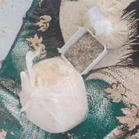 چاله خوری قناری فنچ پنبه کوتوله عروس هلندی