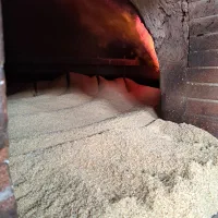 کنجد ایرانی و پاکستانی ،کنجد قنادی‌و روغنگیری