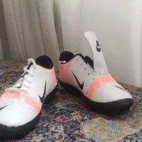 کفش اسپرت|کیف، کفش، کمربند|شیراز, مبعث|دیوار