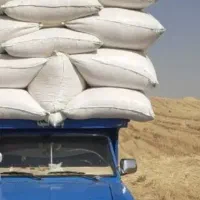 حمل بار وانت نیسان|خدمات حمل و نقل|دینور, |دیوار