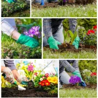 باغبانی خانه خود را به ما بسپارید