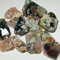 شجر خاص فردوس