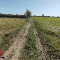 زمین کشاورزی یک لته محلی دونبش در لیسار تالش|فروش زمین و ملک کلنگی|لیسار, |دیوار