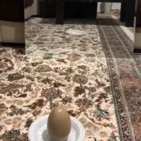 کارشناسی و خرید سنگ