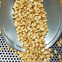 بادام زمینی کره گیری هندی درجه یک پخت روز|خوردنی و آشامیدنی|تهران, شوش|دیوار