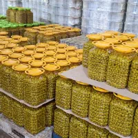 زیتون مستقیم از کارخانه‌