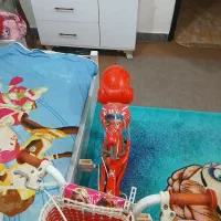 دوچرخه دخترانه|دوچرخه، اسکیت، اسکوتر|اهواز, شهرک دانشگاه|دیوار