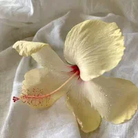 ترجمه متون فارسی به انگلیسی و برعکس