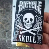 پاسور (ارسال رایگان)|اسباببازی|اصفهان, فرهنگیان|دیوار