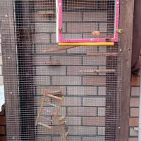 قفس دست ساز بزرگ واسه سایر پرندگان