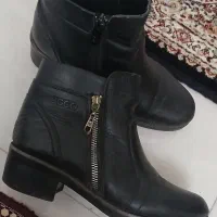 کفش چرم اصل گاوی