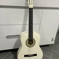 گیتار stagg بلژیک|گیتار، بیس، امپلیفایر|سقز, |دیوار