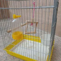 قفس عروس هلندی وپرندگان