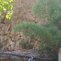 طبیعت گردی|فعالیت داوطلبانه|تهران, سازمان برنامه شمالی|دیوار