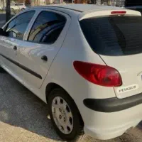 کاپوت ۲۰۶ رنگ فابریک با خطر ۲۰۶