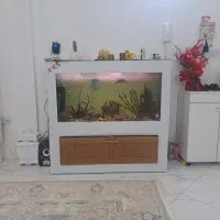 اکواریم یک متر و بیست سانتی متر است|ماهی|مشهد, طبرسی شمالی|دیوار